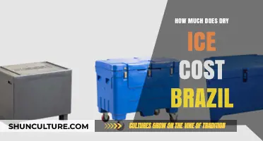 Dry Ice Cost in Brazil: Pricing Guide for Buyers
