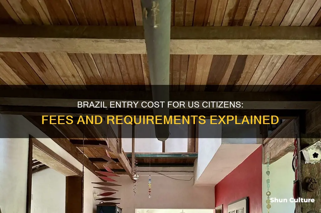 how much does entry to brazil cost for us citizen