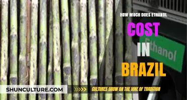 Ethanol Prices in Brazil: Understanding Costs and Market Trends