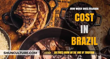 Feijoada Cost in Brazil: Budget-Friendly or Pricey Dish?
