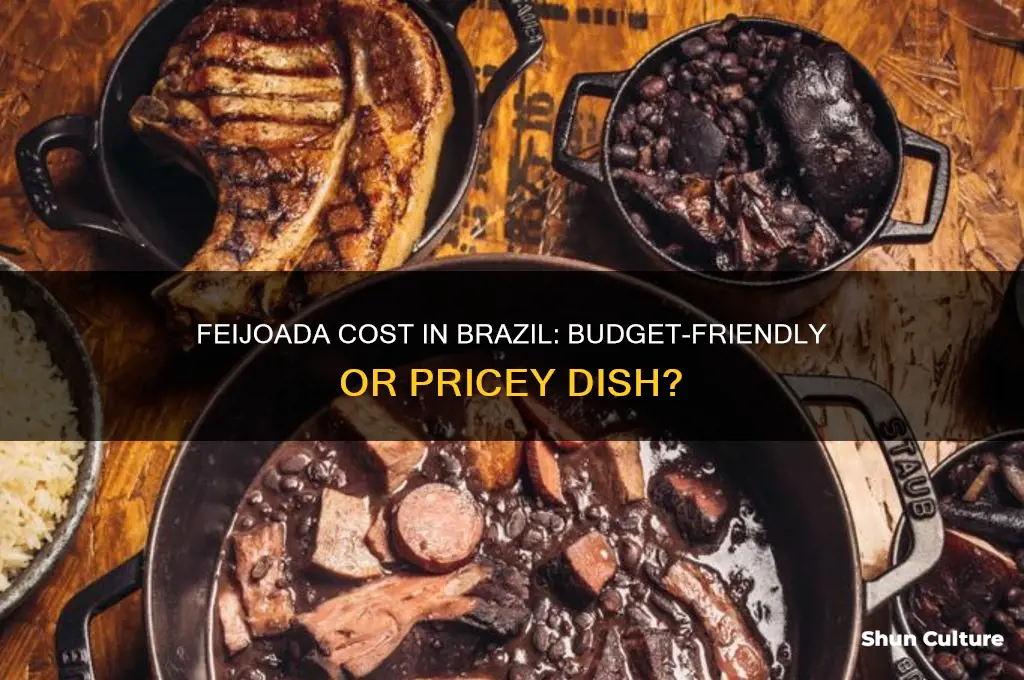 how much does feijoada cost in brazil
