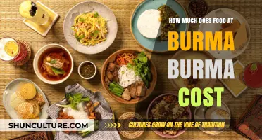 Exploring the Flavorful Affordability of Burma Burma's Menu