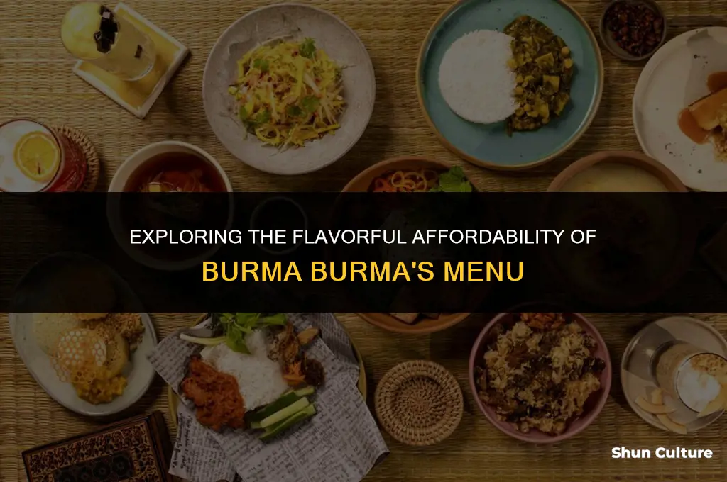 how much does food at burma burma cost