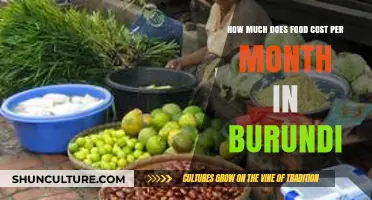 Exploring the Average Monthly Food Expenses in Burundi