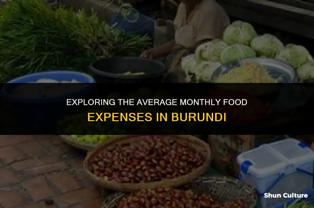 how much does food cost per month in burundi