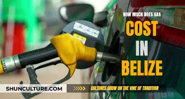 Belize's Gas Prices: A Costly Affair