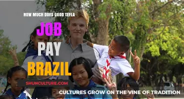 Tefla Job Salaries in Brazil: What to Expect in Earnings