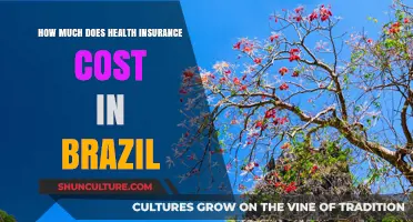 Understanding Health Insurance Costs in Brazil: A Comprehensive Guide