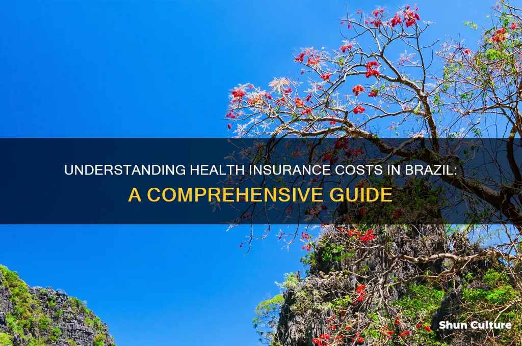 how much does health insurance cost in brazil