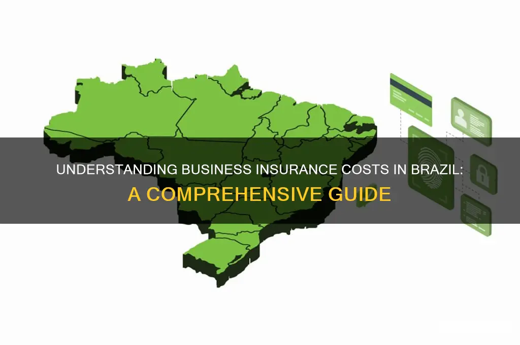 how much does insuring a business cost in brazil