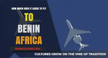 Exploring the Cost of Flights to Benin, Africa: A Budget Traveler's Guide