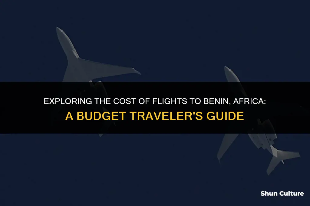 how much does it cause to fly to benin africa