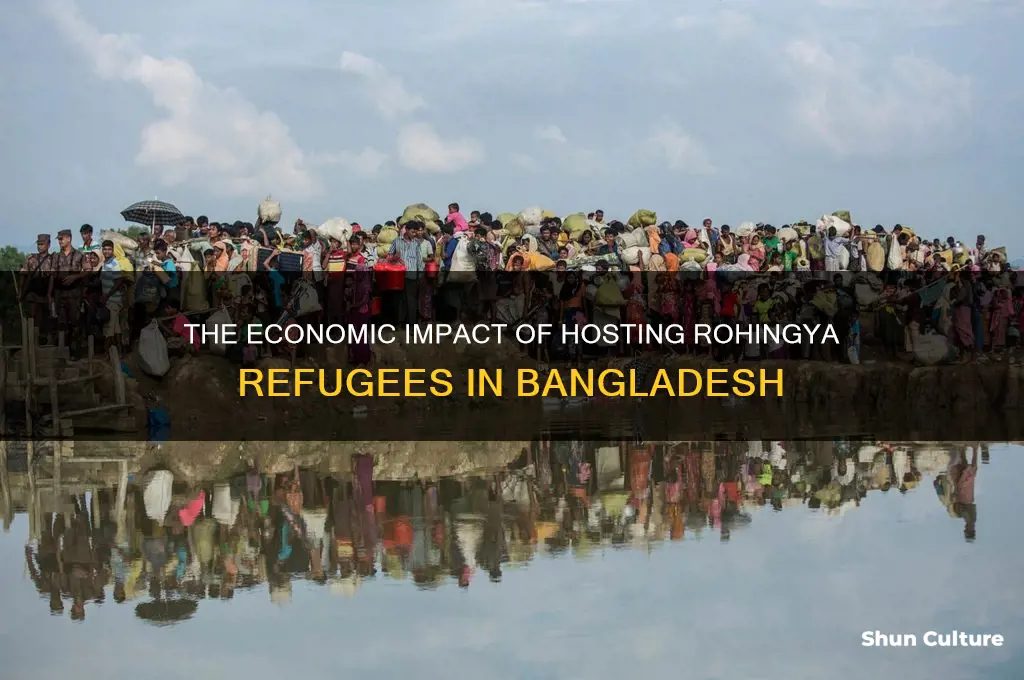 how much does it cost bangladesh to host rohingya refugees