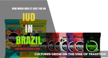 IUD Costs in Brazil: What to Expect for Contraception Expenses