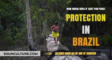 Brazil's Forest Protection Costs: Understanding Expenses and Conservation Efforts