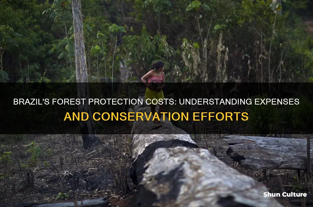 how much does it cost for forst protection in brazil