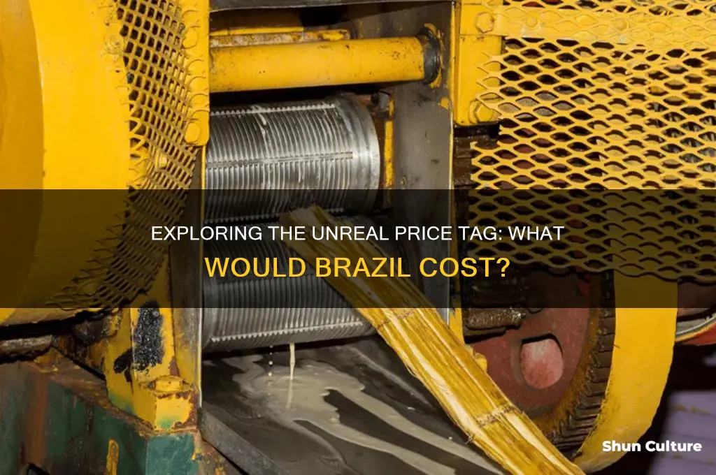 how much does it cost to buy brazil