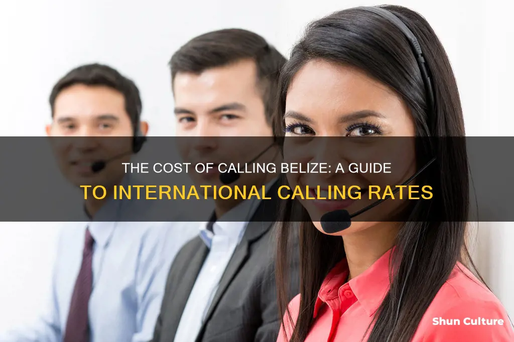 how much does it cost to call belize