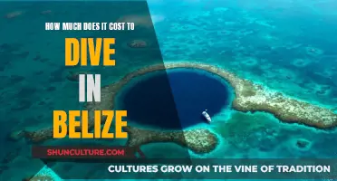 Exploring Belize's Underwater Paradise: Understanding the Costs of Diving in Belize's Pristine Waters