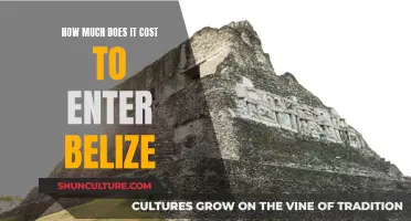 Unlocking Belize: The Cost of Entry