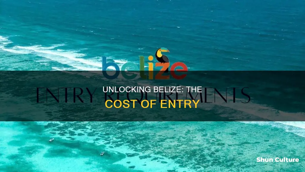 how much does it cost to enter belize