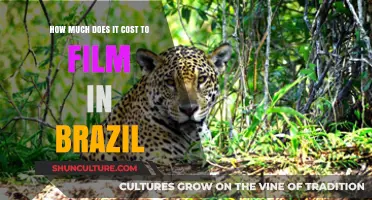 Filming in Brazil: Uncovering Production Costs and Budget Essentials