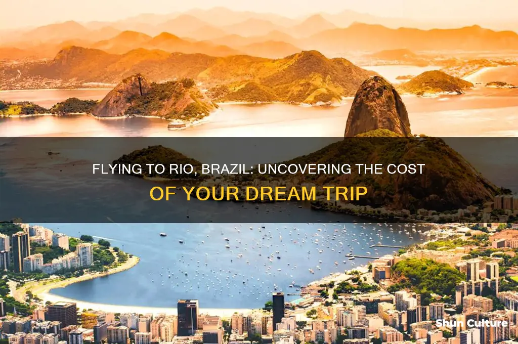 how much does it cost to fly to rio brazil