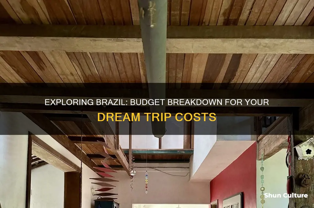 how much does it cost to go to brazil