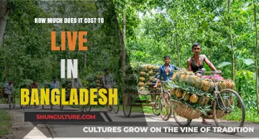 Living in Bangladesh: Uncovering the Real Cost of Daily Expenses