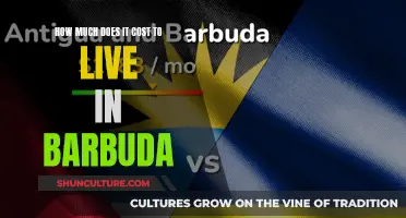 The Cost of Living on Barbuda Island