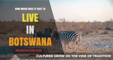 Living in Botswana: Uncovering the Real Cost of Life in Africa