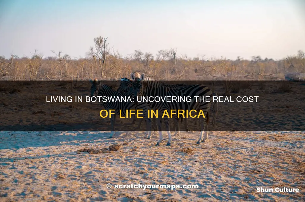 how much does it cost to live in botswana