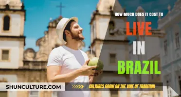 Living in Brazil: Unveiling the Real Cost of Life in 2023