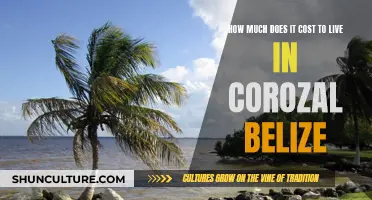 The Cost of Living in Corozal, Belize: A Tropical Paradise on a Budget