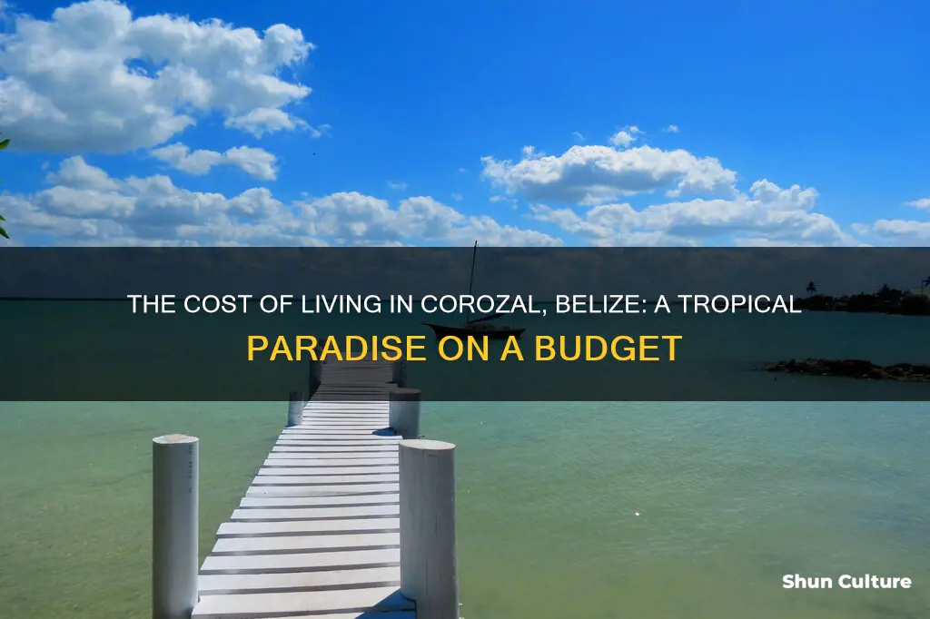 how much does it cost to live in corozal belize