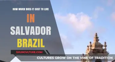 Living in Salvador, Brazil: Unveiling the Cost of Life in Paradise