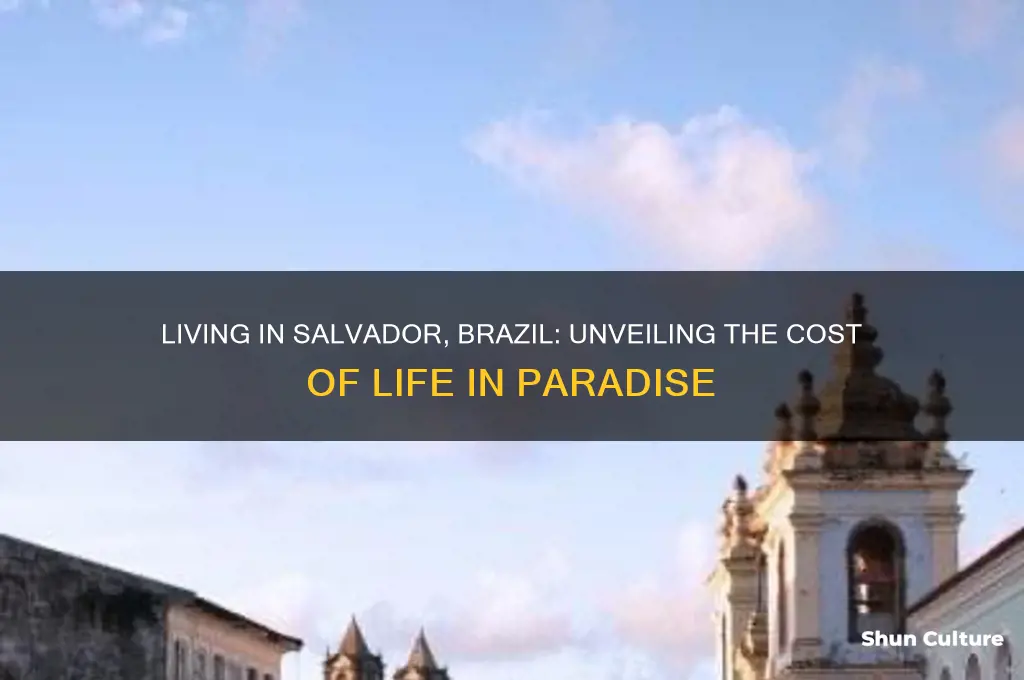 how much does it cost to live in salvador brazil