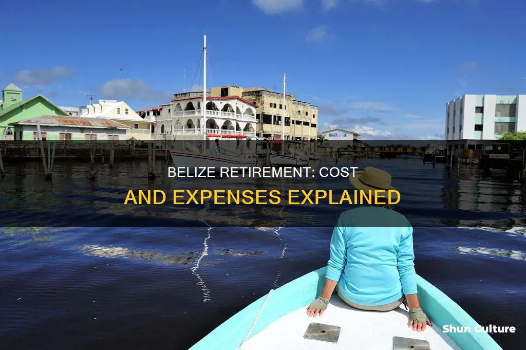 how much does it cost to retire in belize