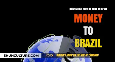 Sending Money to Brazil: Understanding the Costs and Fees