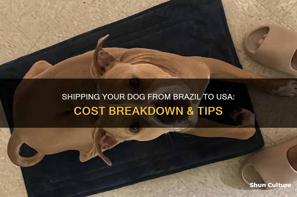 how much does it cost to ship dog brazil usa