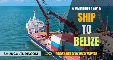 Shipping to Belize: Understanding the Costs