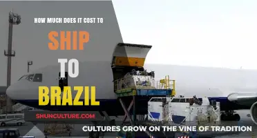 Shipping to Brazil: Understanding Costs, Factors, and Affordable Options