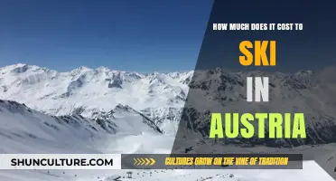 Alpine Adventure: Unveiling Austria's Ski Costs