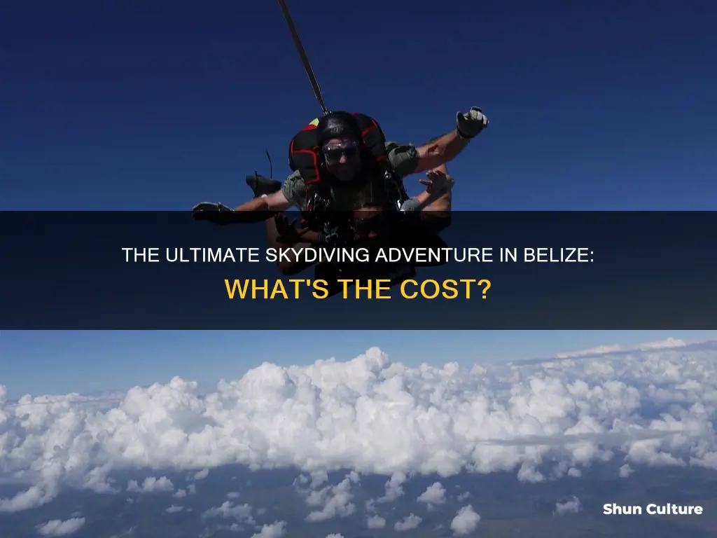 how much does it cost to skydive in belize