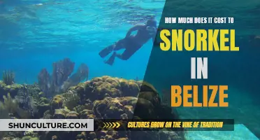 Belize's Snorkeling Paradise: An Affordable Adventure