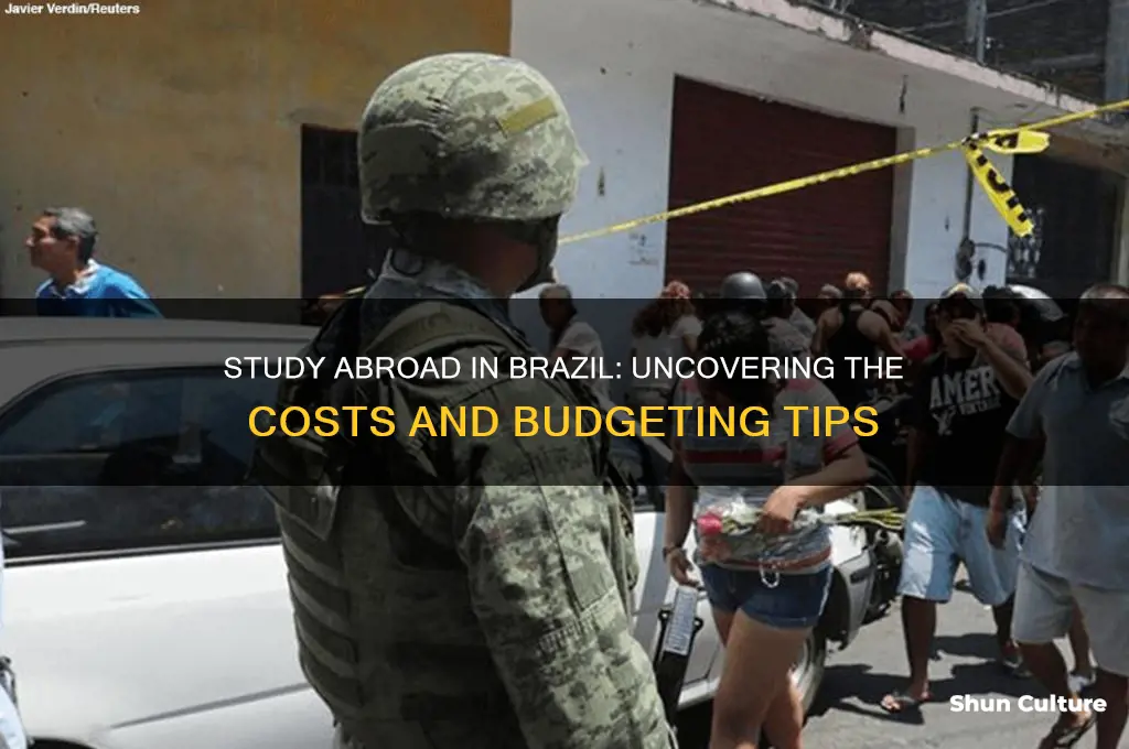 how much does it cost to study abroad in brazil