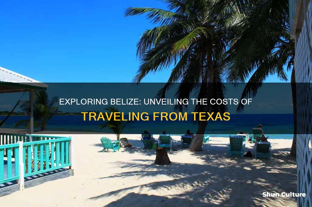 how much does it cost ttravle to belize from texas