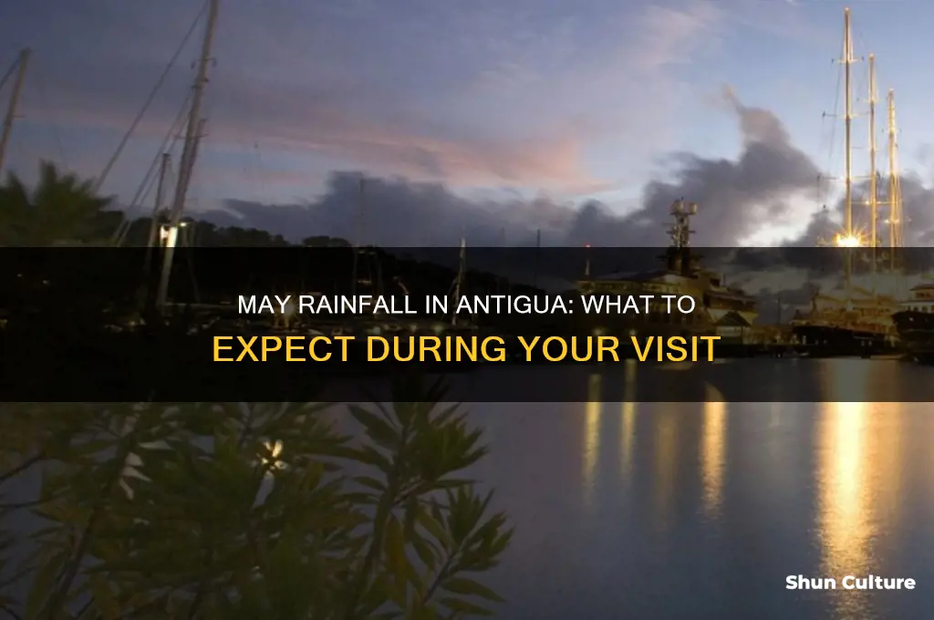 how much does it rain in antigua in may