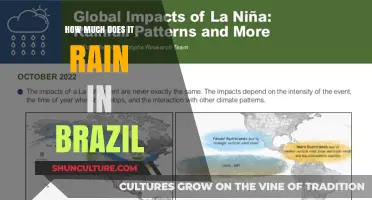 Brazil's Rainfall: Understanding the Country's Precipitation Patterns and Averages