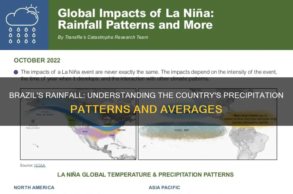 how much does it rain in brazil